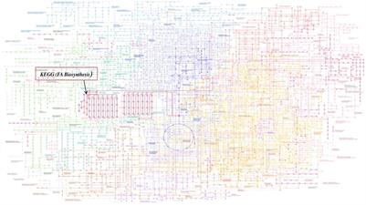 Identifying the Novel Inhibitors Against the Mycolic Acid Biosynthesis Pathway Target “mtFabH” of Mycobacterium tuberculosis